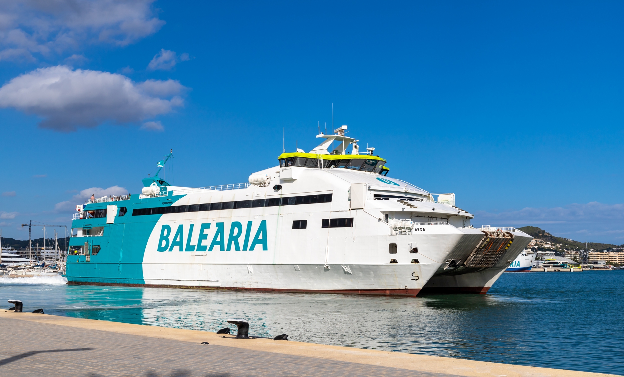 balearia balearia.jpg