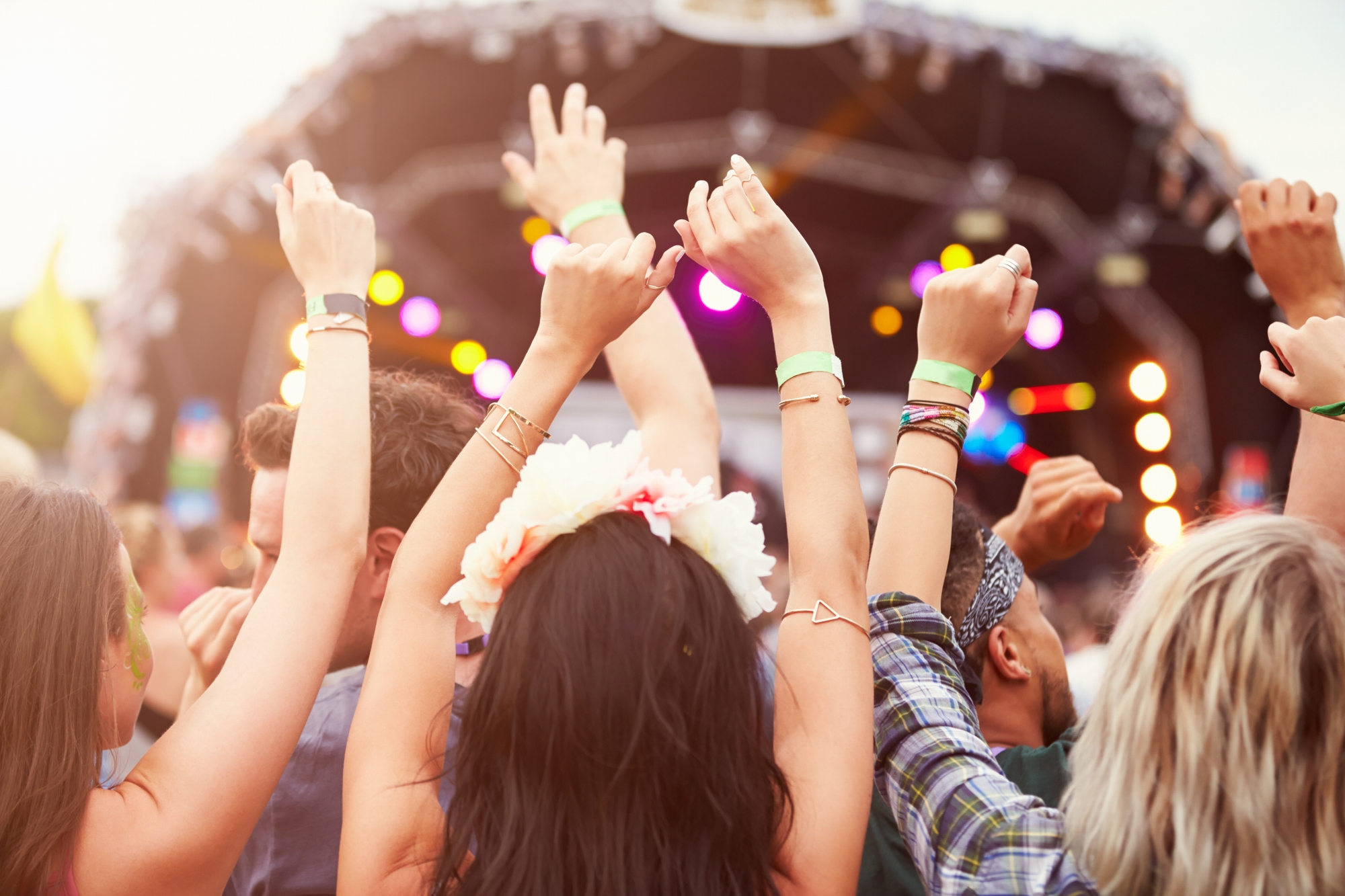 Festivaly Festivaly.jpg