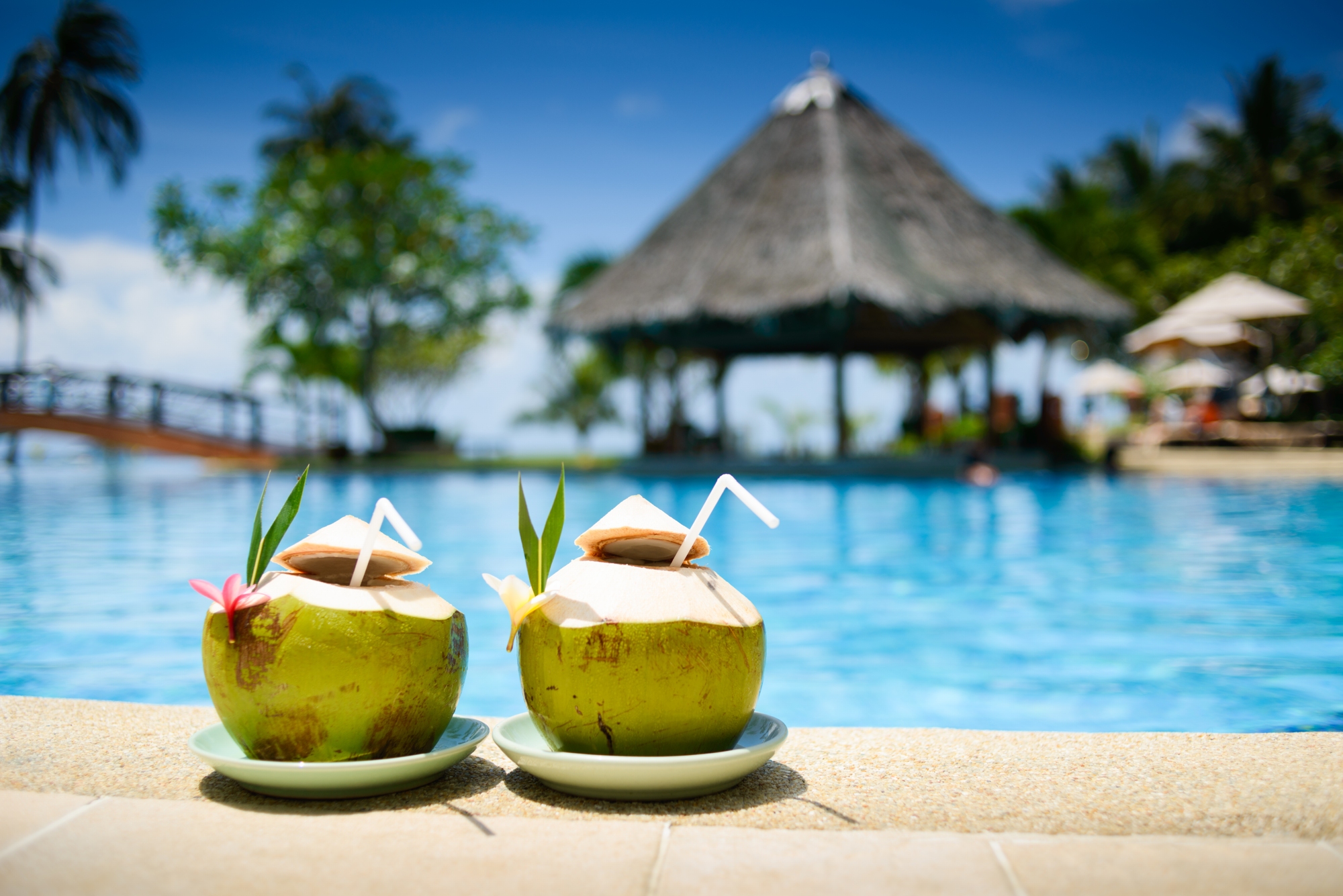 pina colada, bazén.jpg